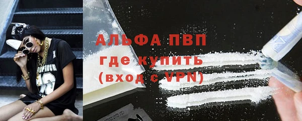 ешки Алексин
